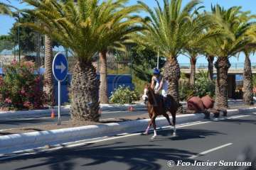 Carreras de caballo de las fiestas de San Juan 2018 de Telde (Foto Francisco Javier Santana)